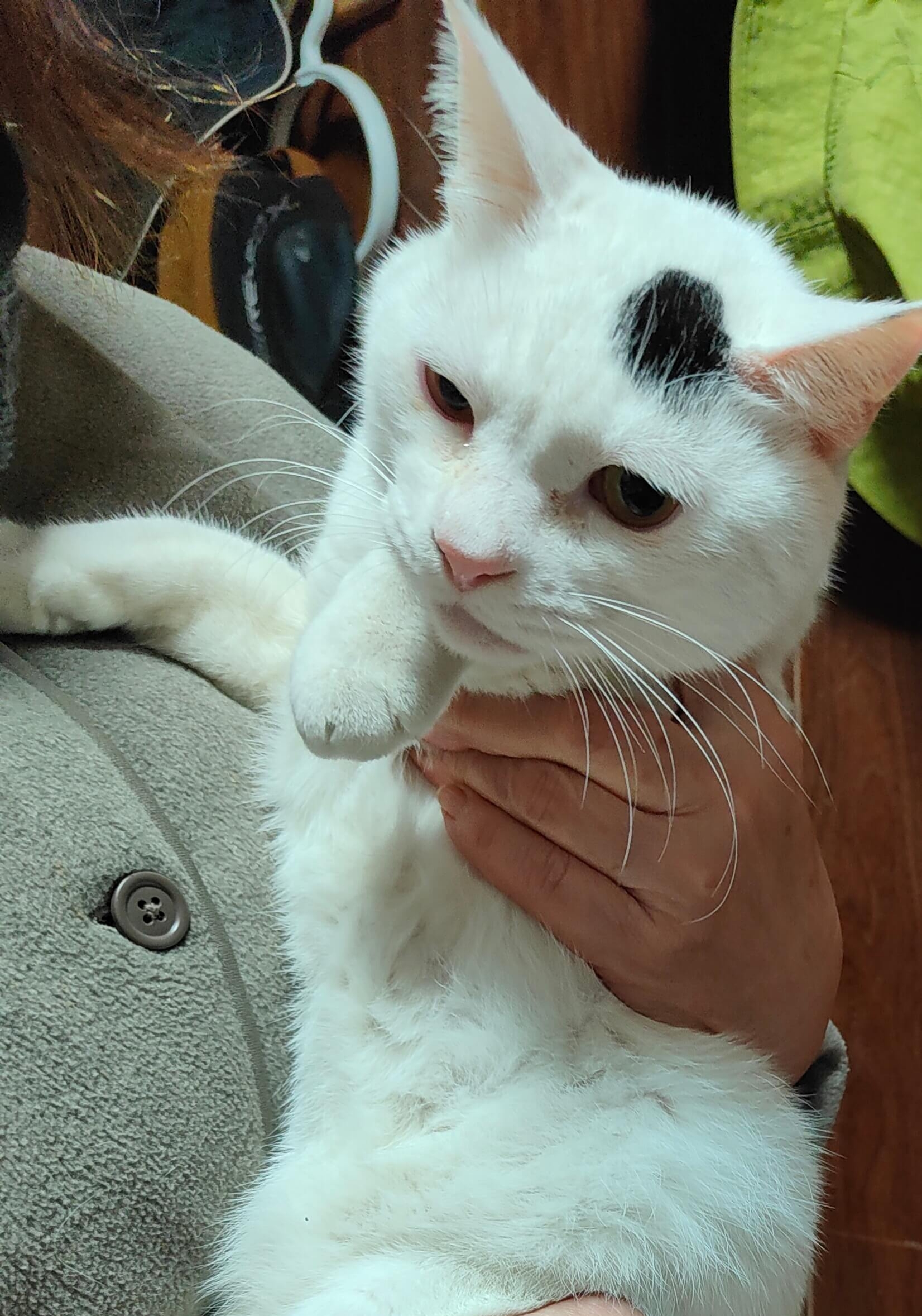 実際の再会シーン