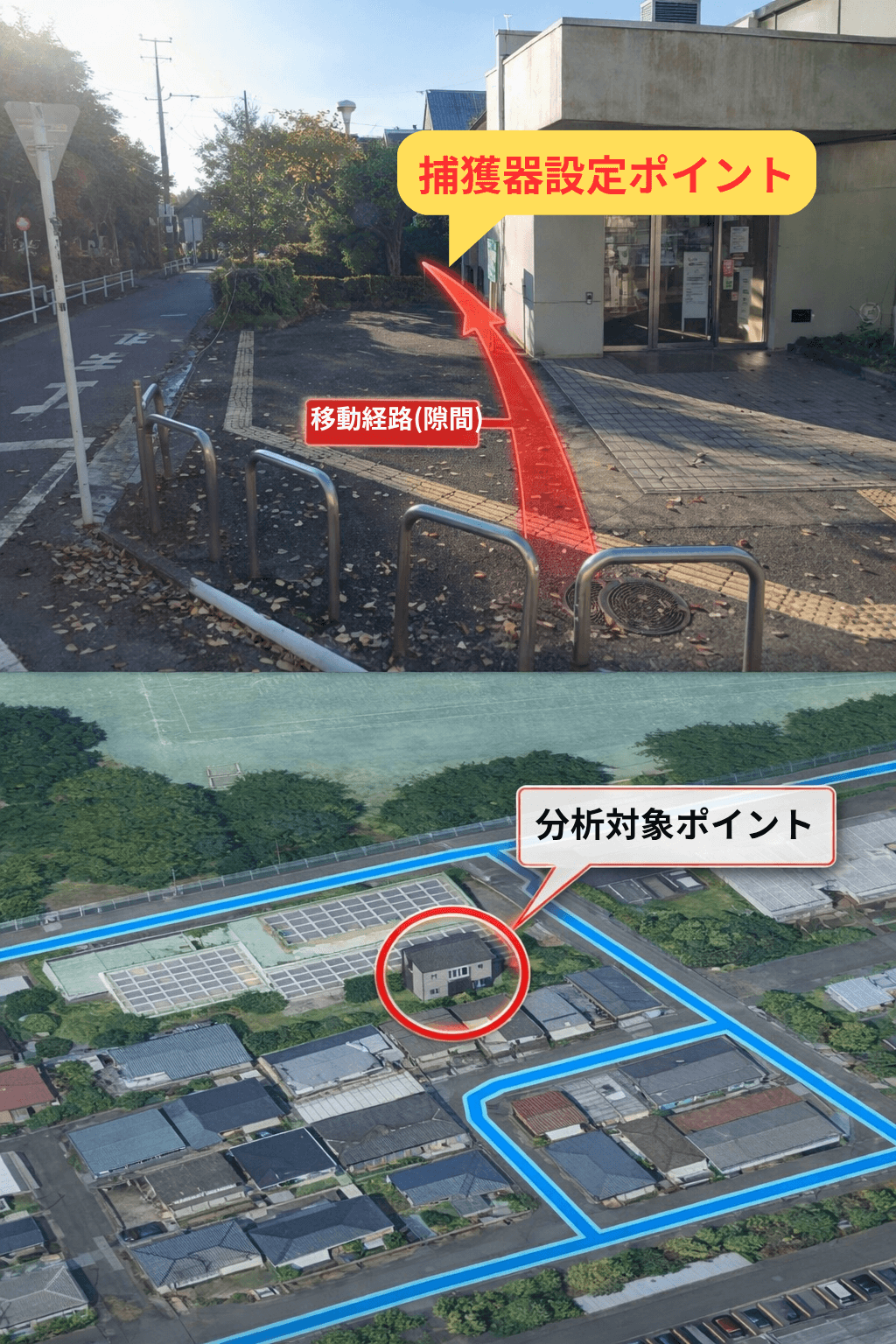 猫の移動経路分析事例